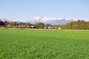 KS Zbilje (foto Robi Rokavec) (9)